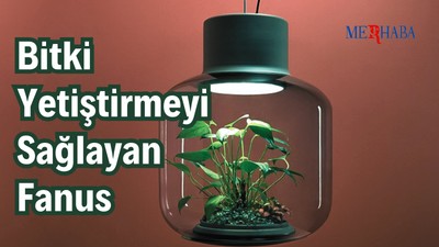 Bitki Yetiştirmeyi Sağlayan Fanus