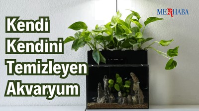 Kendi Kendini Temizleyen Akvaryum