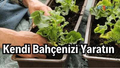 Kendi Bahçenizi Yaratın