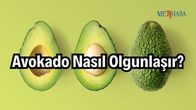 Avokado Nasıl Olgunlaşır?