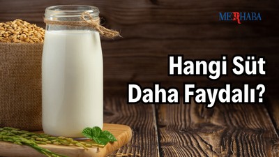 Hangi Süt Daha Faydalı?