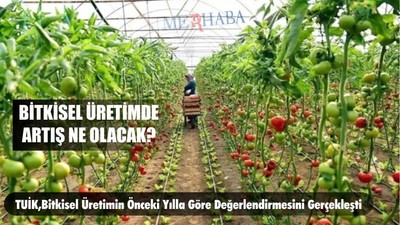 Bitkisel Üretimde Artış