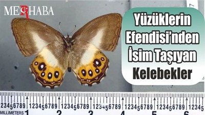 Yüzüklerin Efendisi’nden İsim Taşıyan Kelebekler