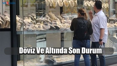 Döviz Ve Altında Son Durum