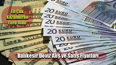 Balıkesir Döviz Alış ve Satış Fiyatları