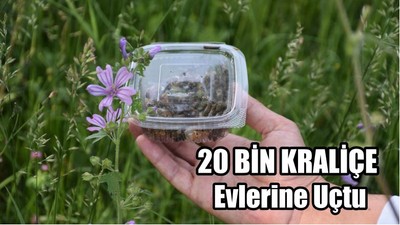 20 Bin Kraliçe Evlerine Uçtu