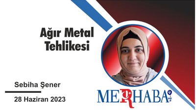 Ağır Metal Tehlikesi