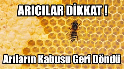 Arıların Kabusu Geri Döndü