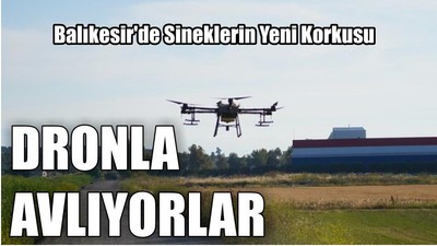 Balıkesir'de Sineklerin Yeni Korkusu
