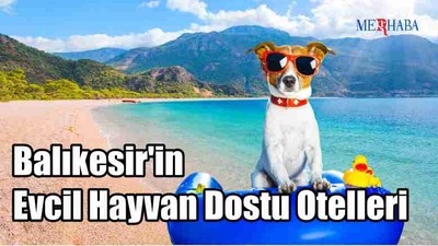 Balıkesir'in Hayvan Dostu Otelleri
