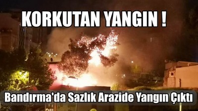 Bandırma'da Sazlık Arazide Yangın Çıktı