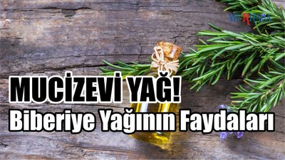 Biberiye Yağının Faydaları