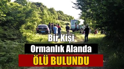 Bir Kişi Ormanlık Alanda Ölü Bulundu