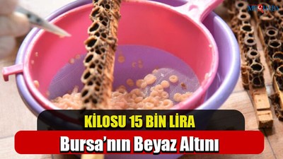 Bursa’nın Beyaz Altını