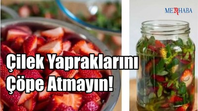 Çilek Yapraklarını Çöpe Atmayın!