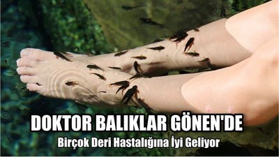 Doktor Balıklar Gönen'de