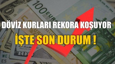 Döviz Kurları Rekora Koşuyor