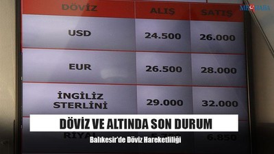 Döviz Ve Altında Son Durum
