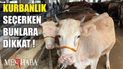 Kurbanlık Seçerken Bunlara Dikkat Edin!