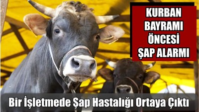 Bir İşletmede Şap Hastalığı Ortaya Çıktı