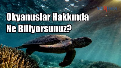 Okyanuslar Hakkında Ne Biliyorsunuz?