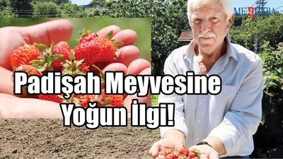 Padişah Meyvesine Yoğun İlgi!