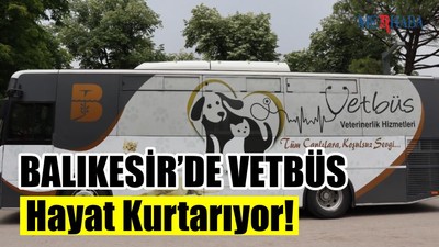 Vetbüs Hayat Kurtarıyor!