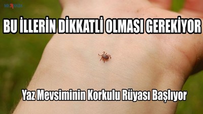 Yaz Mevsiminin Korkulu Rüyası Başlıyor