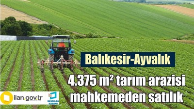 Balıkesir Ayvalık'ta 4.375 m² tarım arazisi mahkemeden satılıktır