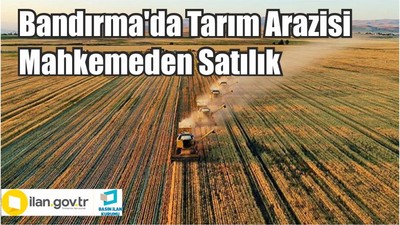 Balıkesir Bandırma'da 15.661 m² tarım arazisi mahkemeden satılıktır
