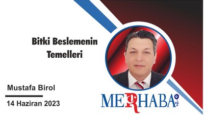 Bitki Beslemenin Temelleri