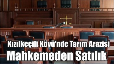 Kızılkeçili Köyü'nde Tarım Arazisi Mahkemeden Satılık