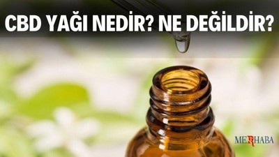 Cbd Yağı Nedir?