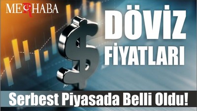 Serbest piyasada döviz fiyatları