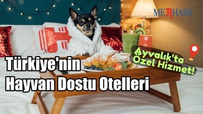 Türkiye'nin Hayvan Dostu Otelleri