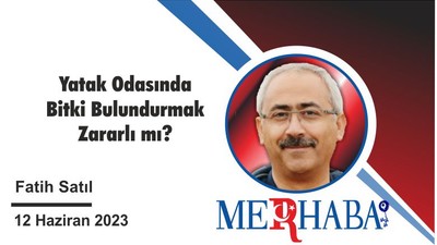 Yatak Odasında Bitki
