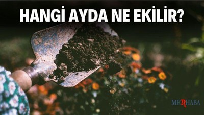 Hangi Ayda Ne Ekilir?