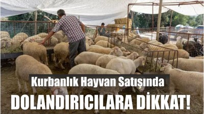 Kurbanlık Hayvan Satışında Dolandırıcılara Dikkat!