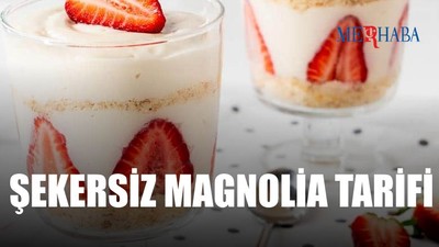 Şekersiz Çilekli Magnolia Tarifi