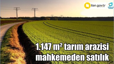 1.147 m² tarım arazisi mahkemeden satılık