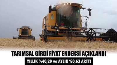 Tarımsal Girdi