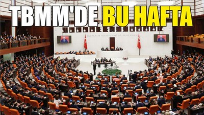Tbmm'de Bu Hafta