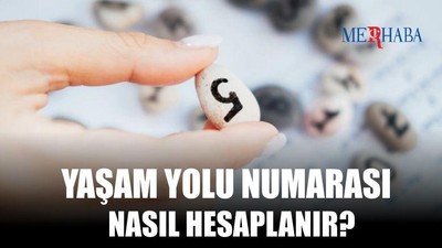 Yaşam Yolu Numarası Hesaplama