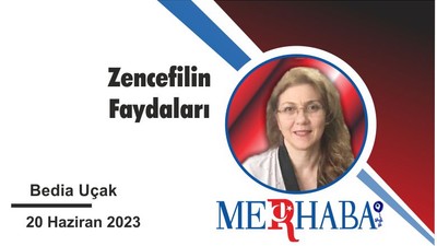 Zencefilin Faydaları