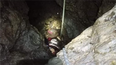 100 kiloluk dana uçurumdan düştü
