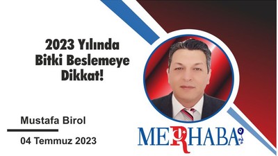 2023 Yılında Bitki Beslemeye Dikkat!