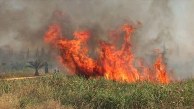 Anız Yangını Balıkesir'de Yolları Kapattırdı