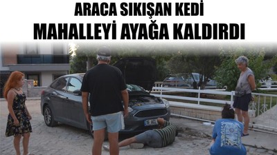 Araca Sıkışan Kedi Mahalleyi Ayağa Kaldırdı