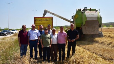 BAÜN'de Hububat Hasadı Yapıldı