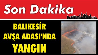 Balıkesir Avşa Adası'nda Yangın